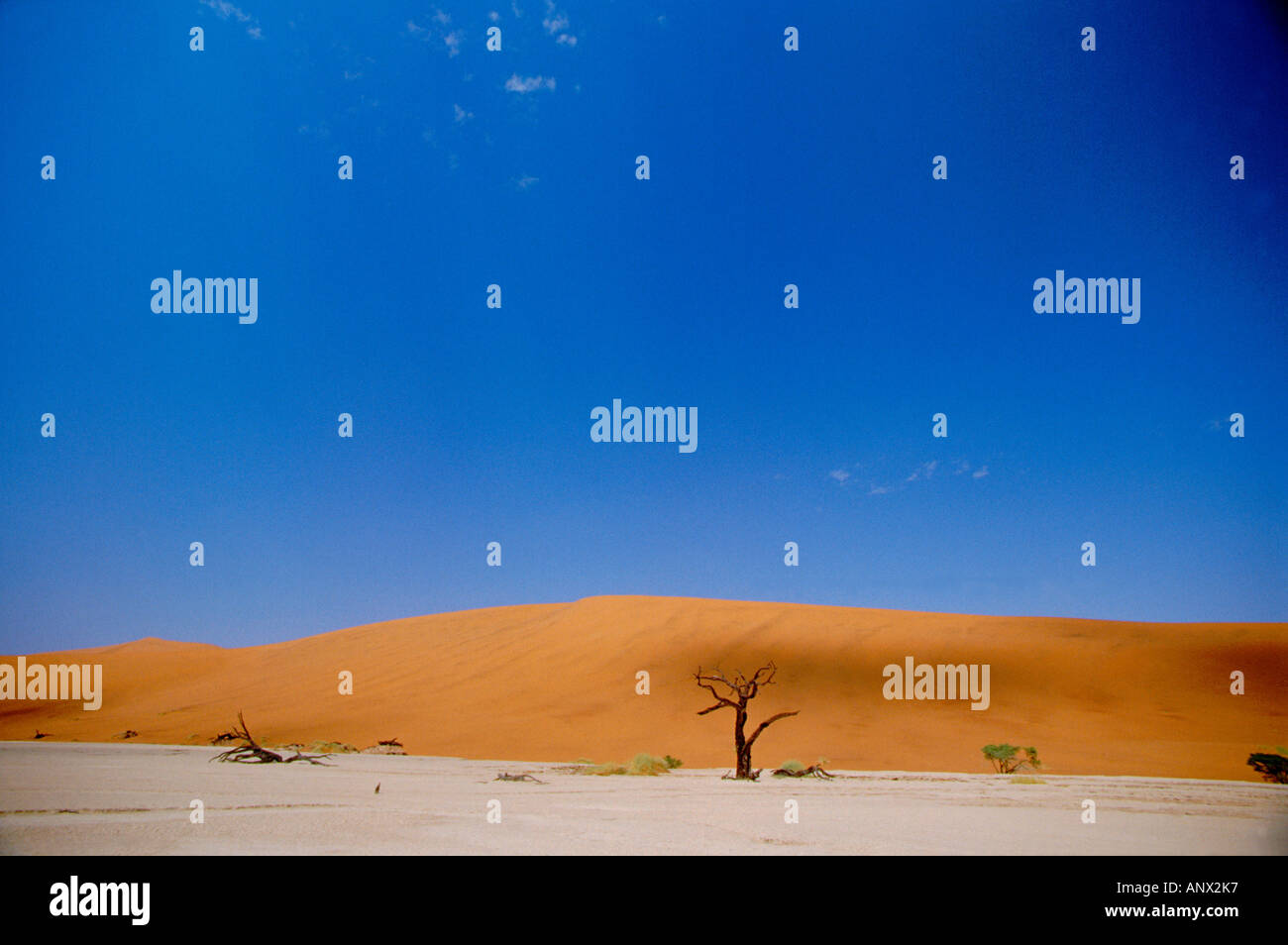 Africa, Namibia, Naukluft National Park, Sossusvlei, Deadvlei. Antica lakebed secco di Deadvlei paesaggio. Foto Stock