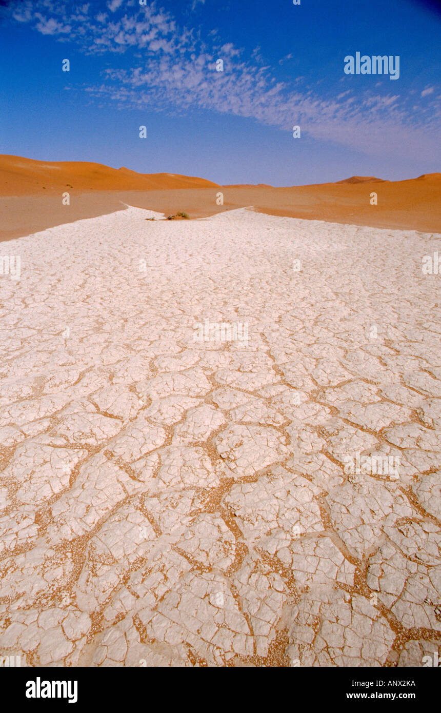 Africa, Namibia, Naukluft National Park, Sossusvlei, Deadvlei. Antica dry & incrinato lakebed di Deadvlei. Foto Stock