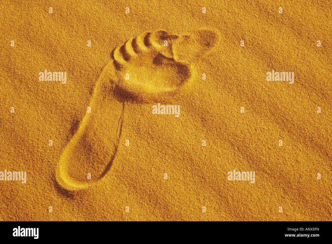 Ingombro con la sabbia, Stati Uniti, California, Valle della Morte Foto Stock