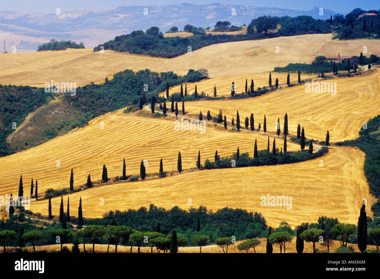 Strada di campagna tramite avvolgimento di campo collinare paesaggio, Italia, Toscana, La Foce Foto Stock