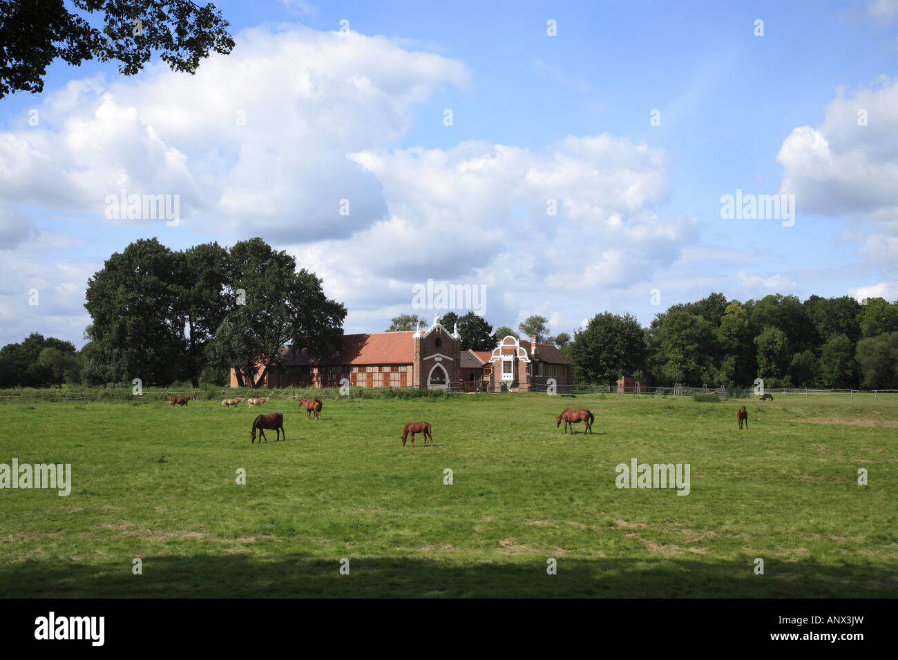Il paesaggio del parco, Luisium vista sul neo-gotico del prigioniero, Germania, Sassonia-Anhalt, Dessau Foto Stock