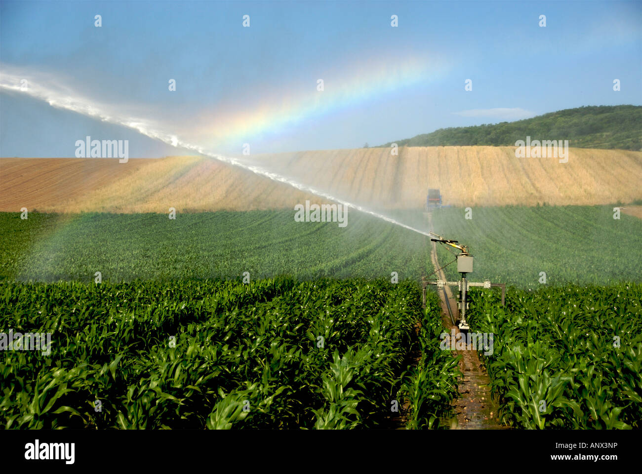 L'installazione di sprinkler in un campo di mais, Limagne, Auvergne Francia, Europa Foto Stock