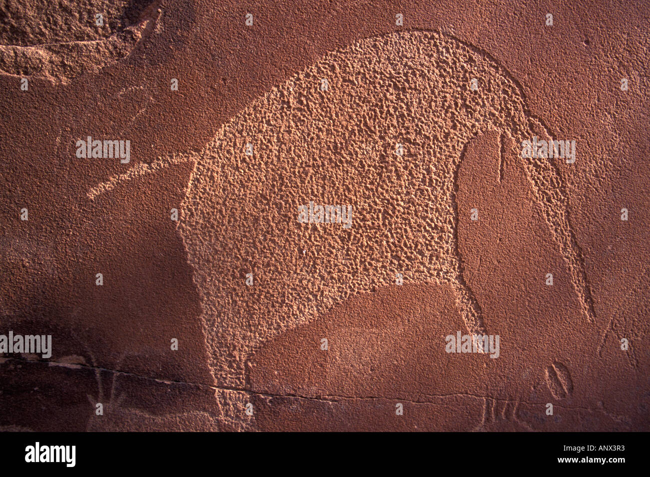 Petroglifi boscimane di un elefante e altri animali a Twyfelfontein, alcuni possono essere di 6000 anni, Namibia, Africa Foto Stock