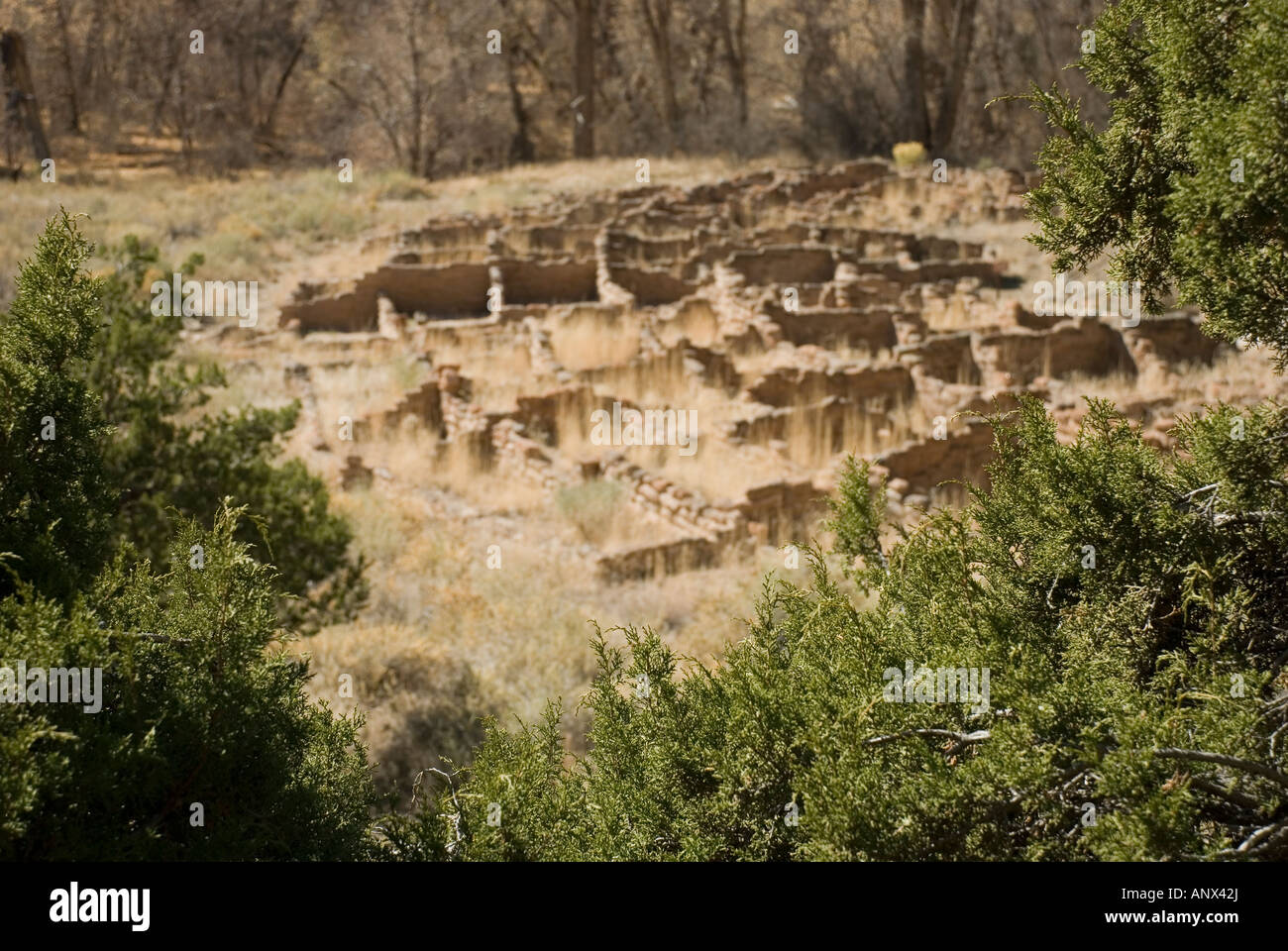 Rovine del villaggio di Tyuonyi nel Canyon Frijoles Bandelier National Monument New Mexico Foto Stock