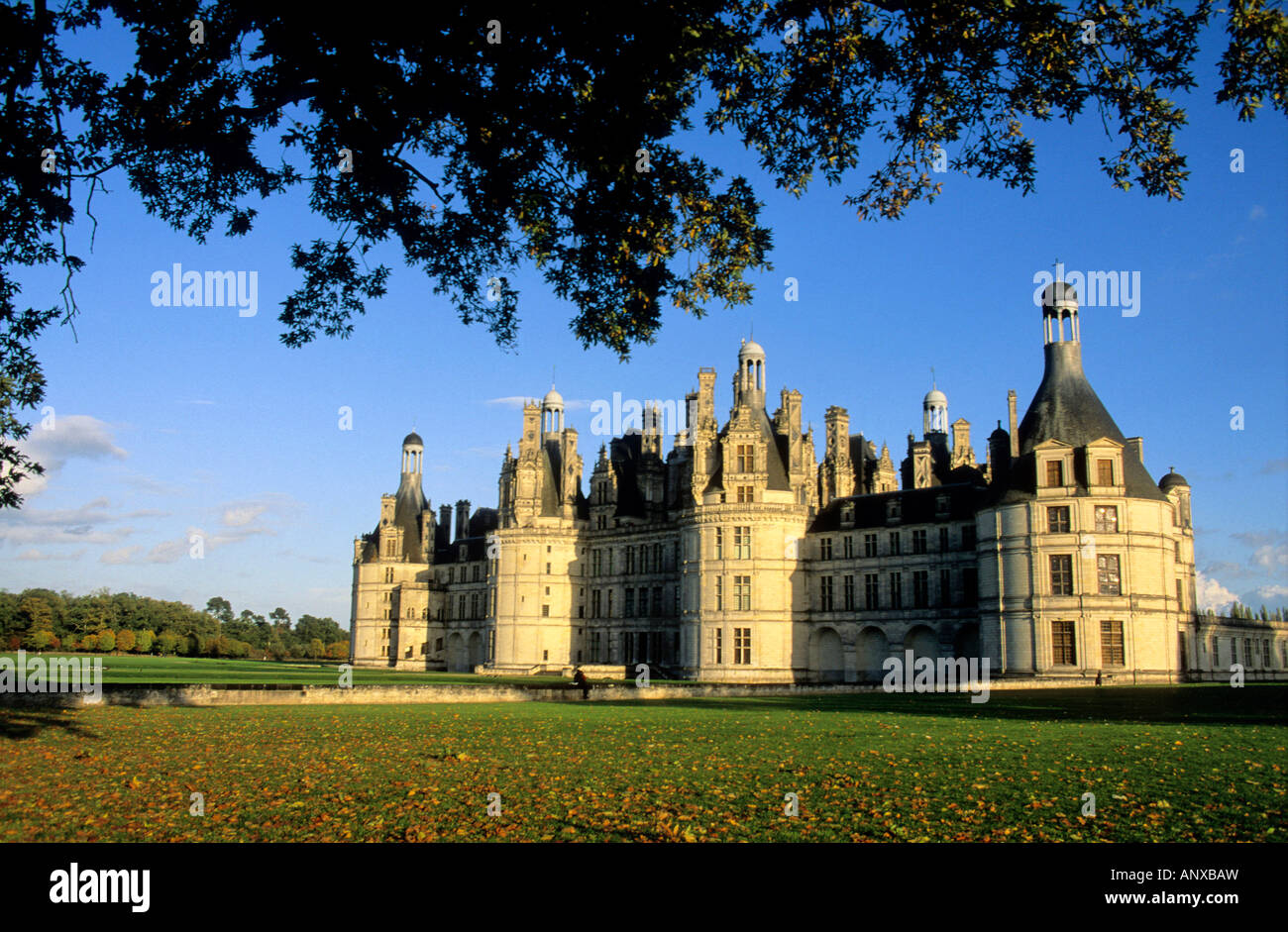 Chambord - Chateau de Chambord, Castello in Loir valley, Loir-et-Cher, Francia, Europa Foto Stock
