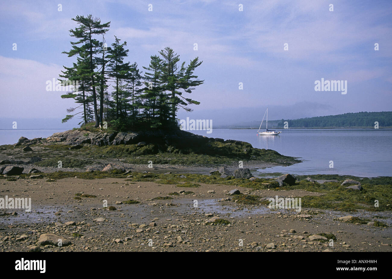 Una piccola barca a vela ancorata solo off shore nel Parco Nazionale di Acadia sulla costa del Maine vicino alla città di Bar Harbor Foto Stock