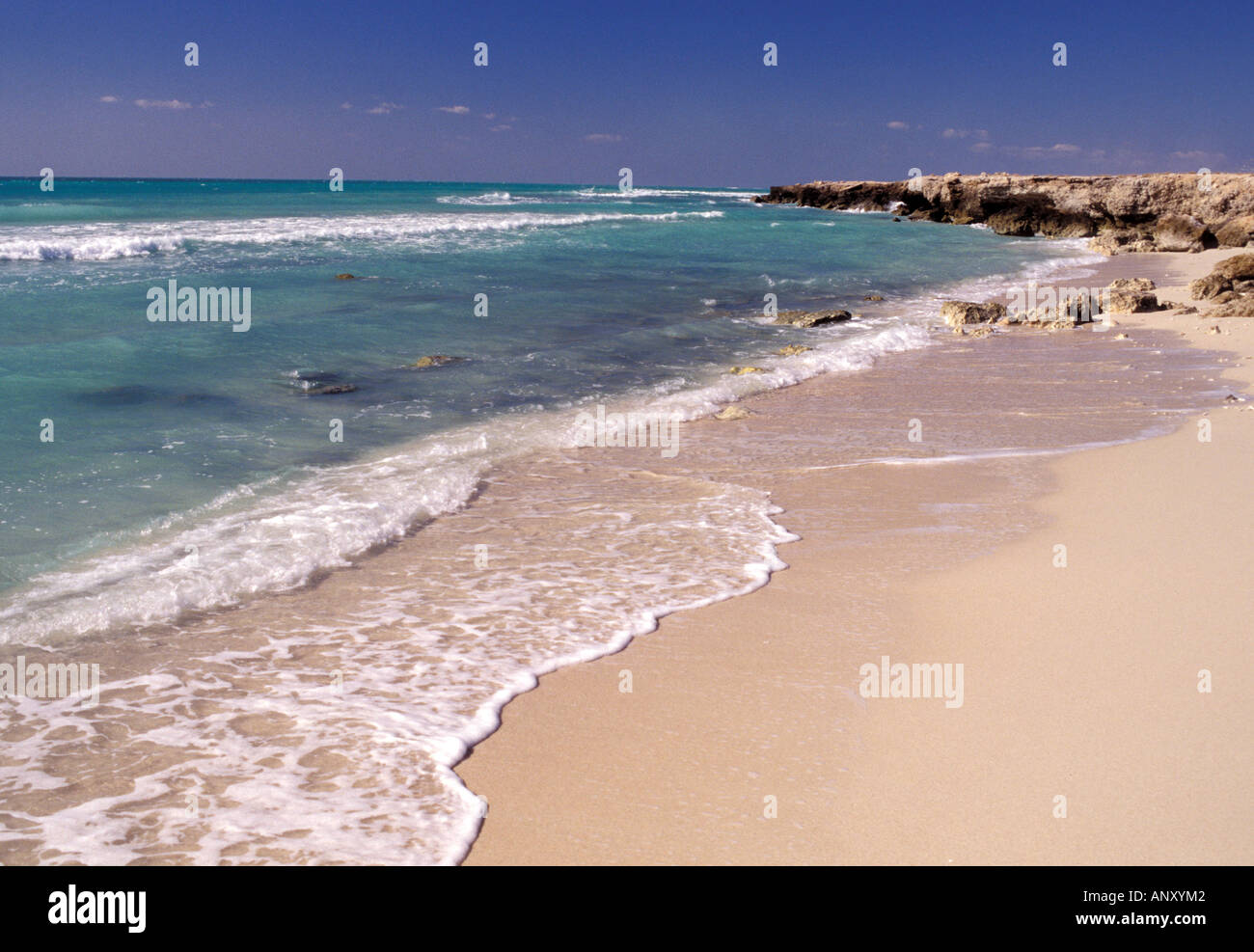 Asia, Medio Oriente, l'Iran, Kish Island. Spiaggia Foto Stock