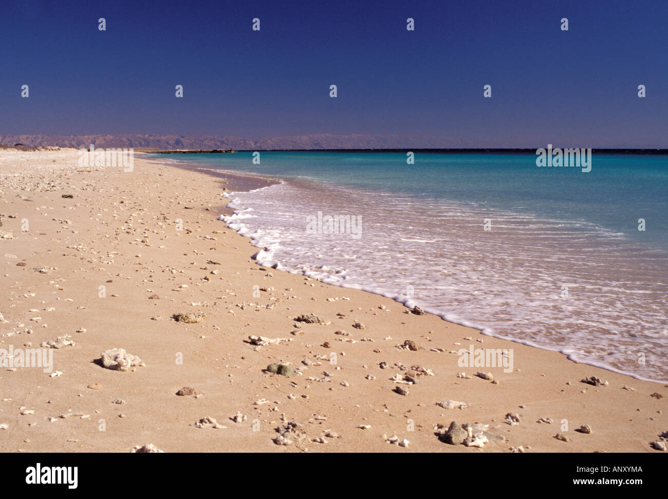 Asia, Medio Oriente, l'Iran, Kish Island. Spiaggia Foto Stock