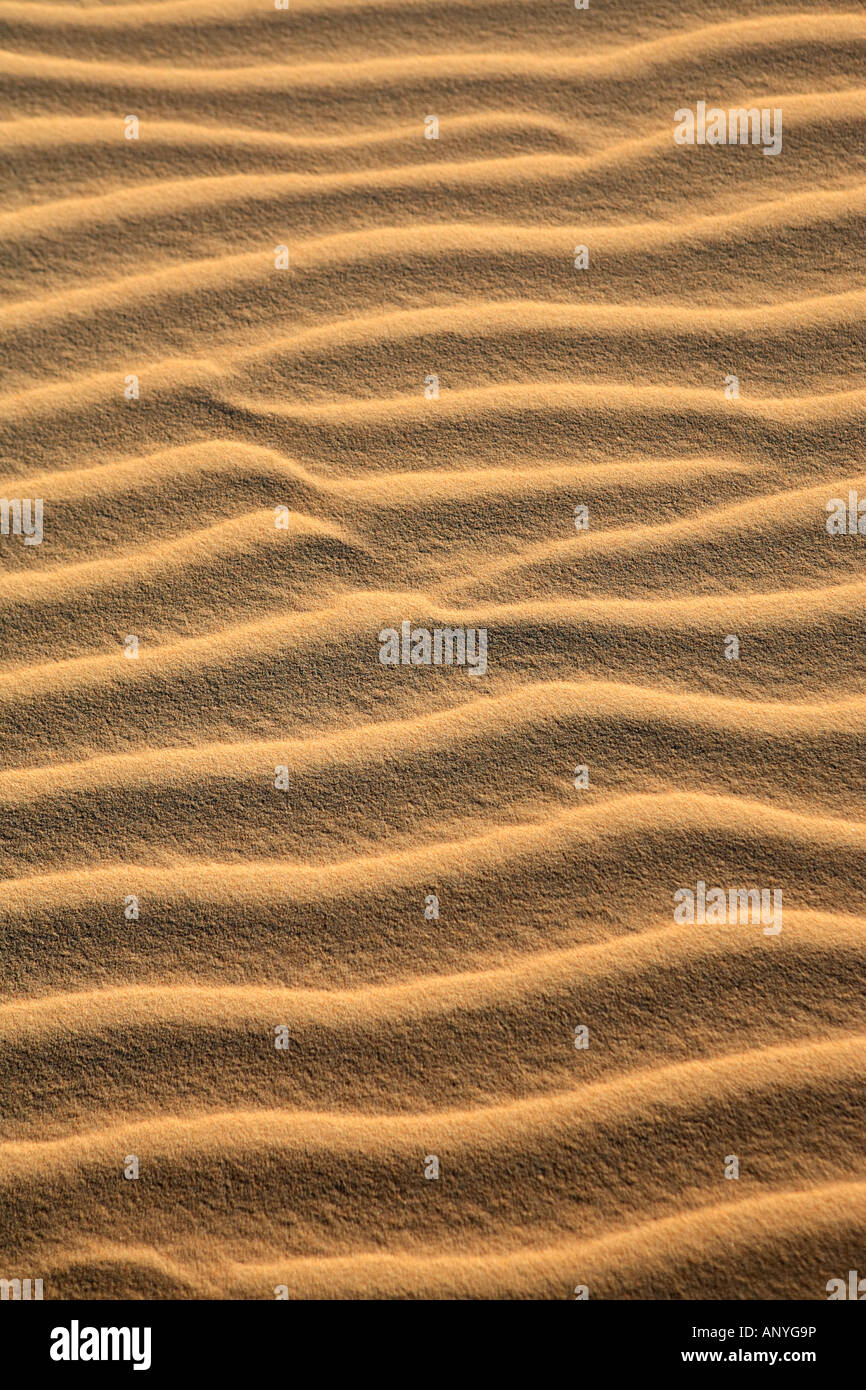 Le increspature delle dune di sabbia di cumbuco in stato di ceara brasile Foto Stock