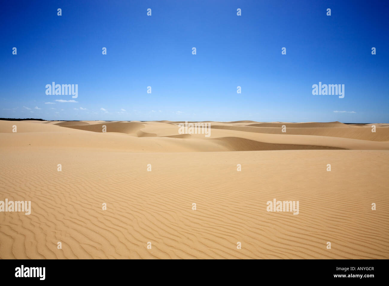 Dune di sabbia del deserto del Lencois Maranheses Parco Nazionale Foto Stock