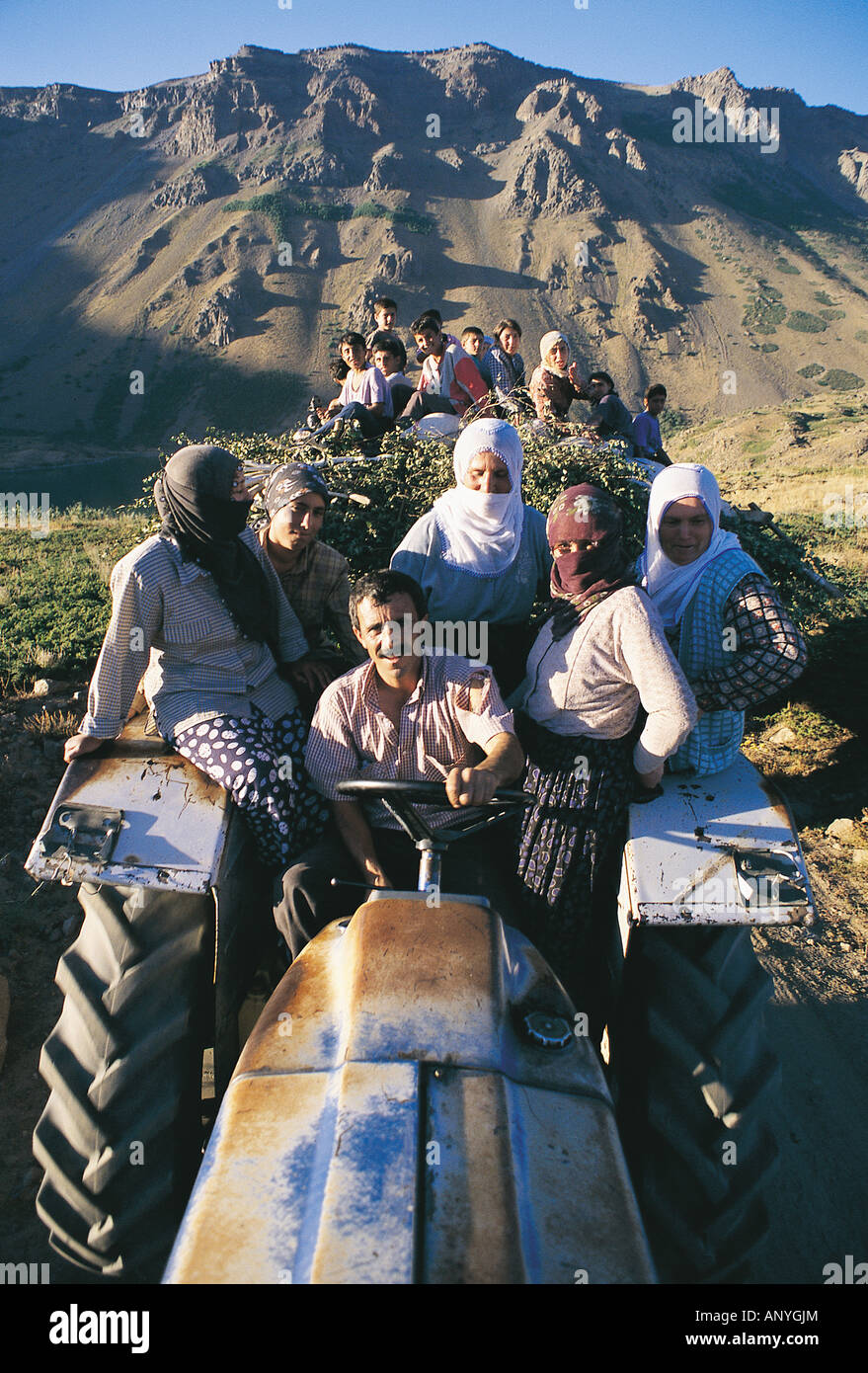 I lavoratori agricoli su un trattore, Bitlis Turchia. Foto Stock