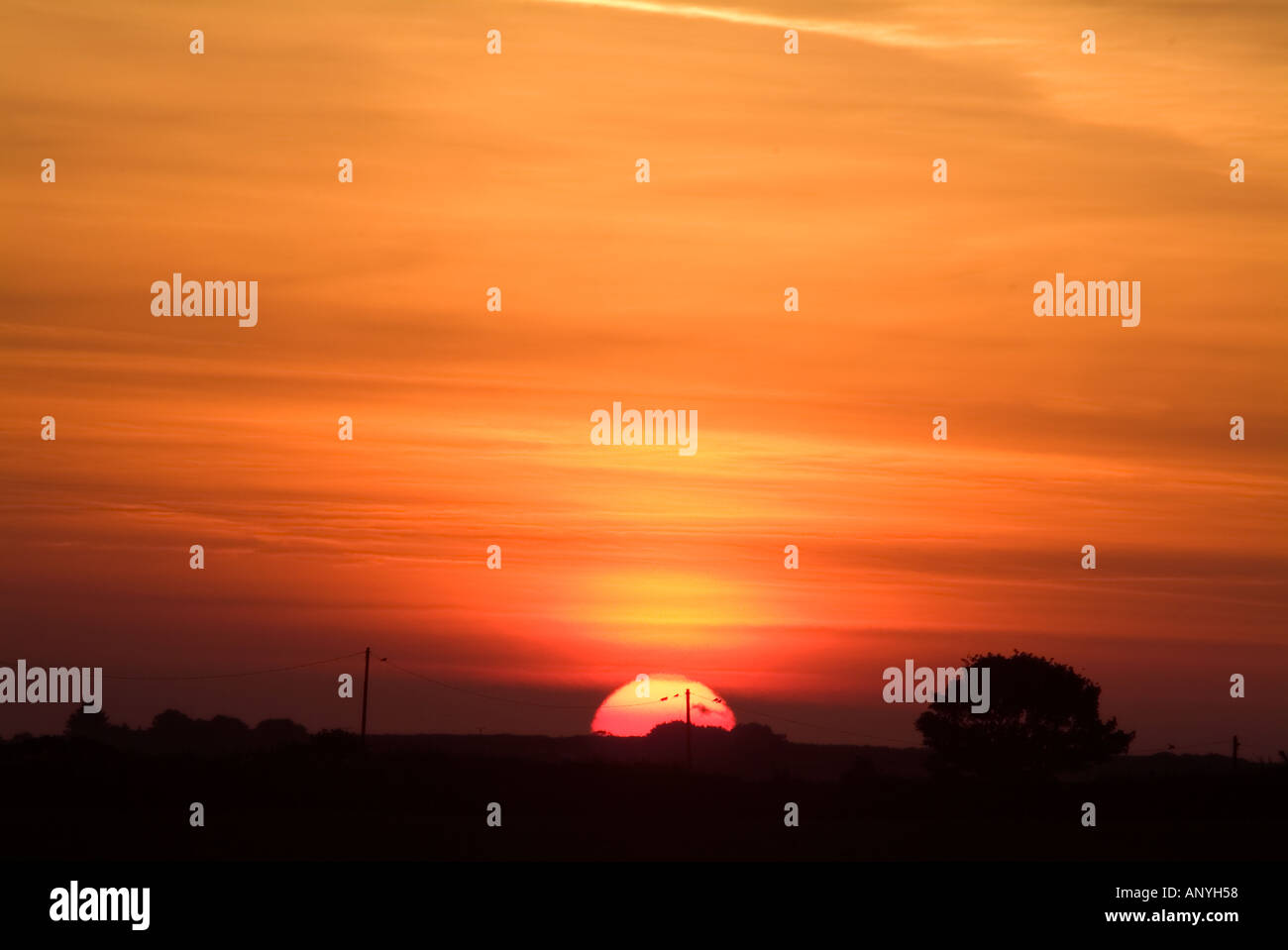 Sunrise con uccelli stagliano sui fili del telegrafo nel paesaggio rurale Foto Stock