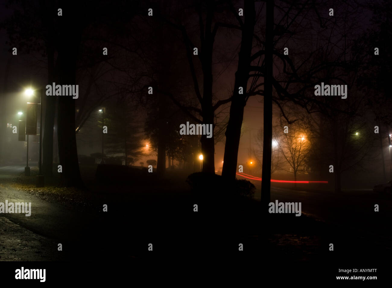 Nebbiosi mattina una street shot Foto Stock