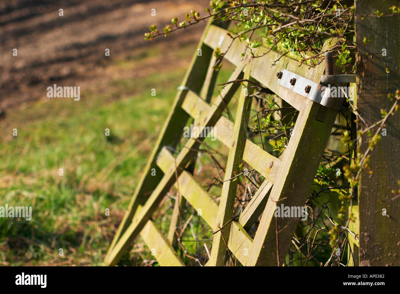 Cancello in legno appeso fuori delle cerniere Foto Stock