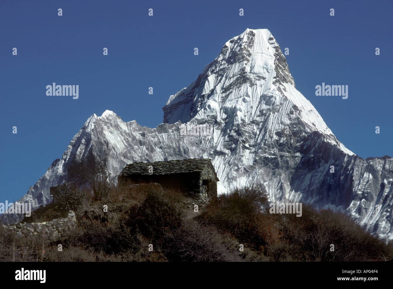 Una casa da tè si siede di fronte a Ama Dablam che significa madre cullano un bambino raggiunge un altezza di 22 493 ft Khumbu Regione Foto Stock