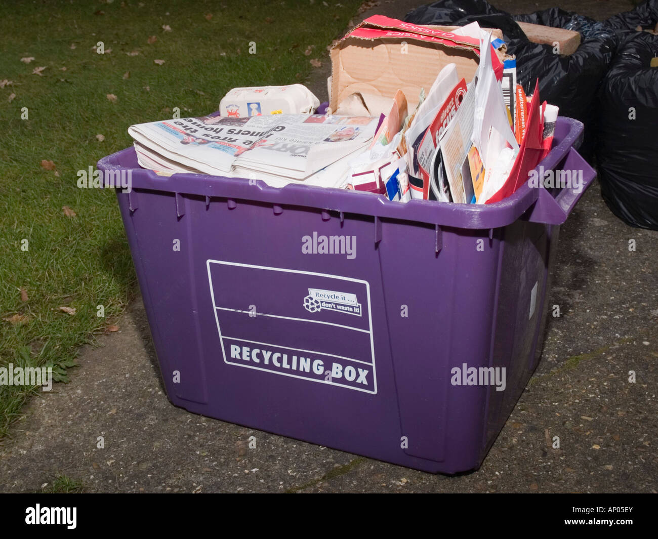 Viola home il riciclaggio scatola piena di rifiuti di carta e cartone England Regno Unito Foto Stock