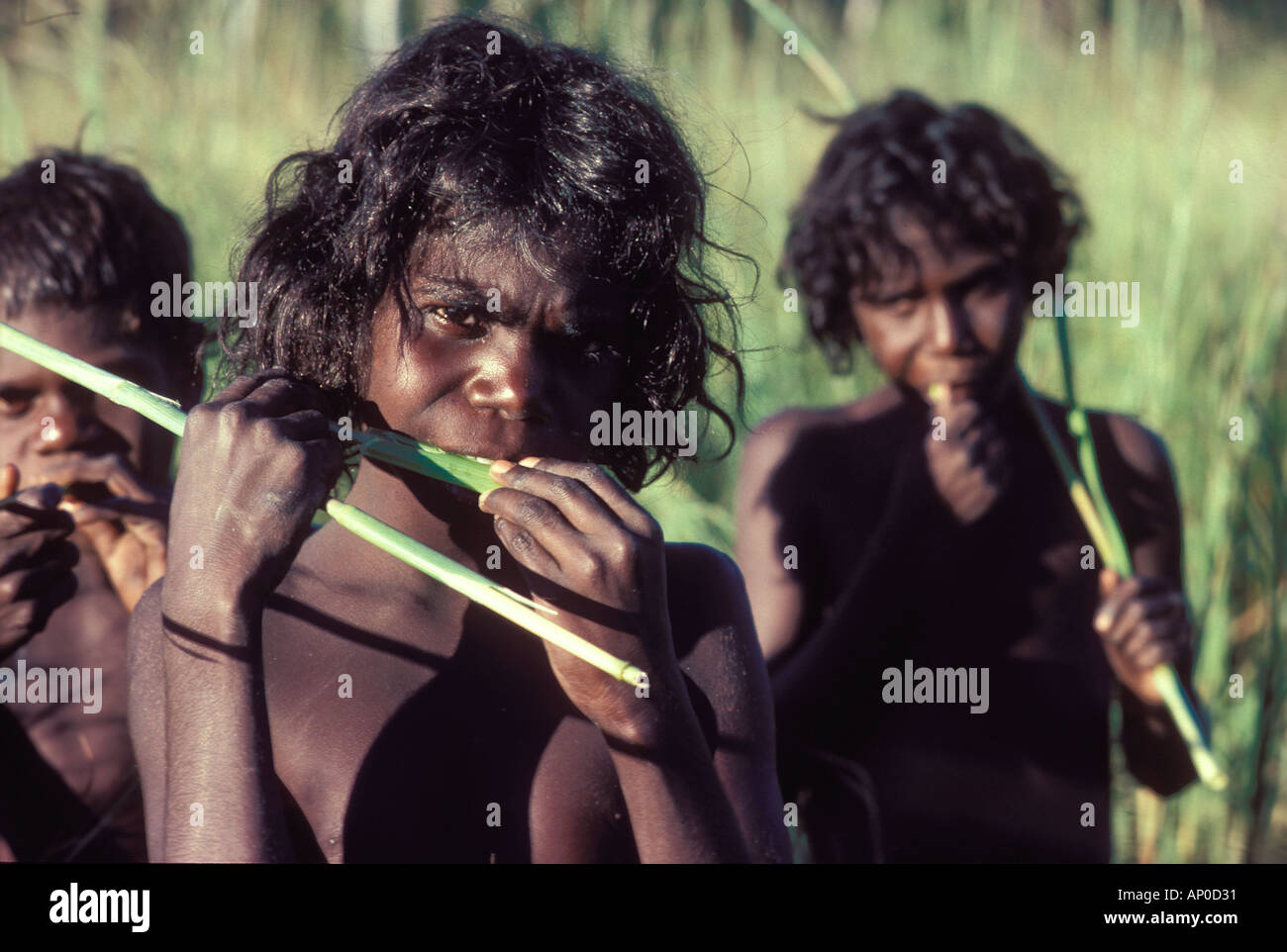 I bambini aborigeni aspirare dal succo di erba di acqua di Arnhem Land NT Australia Foto Stock