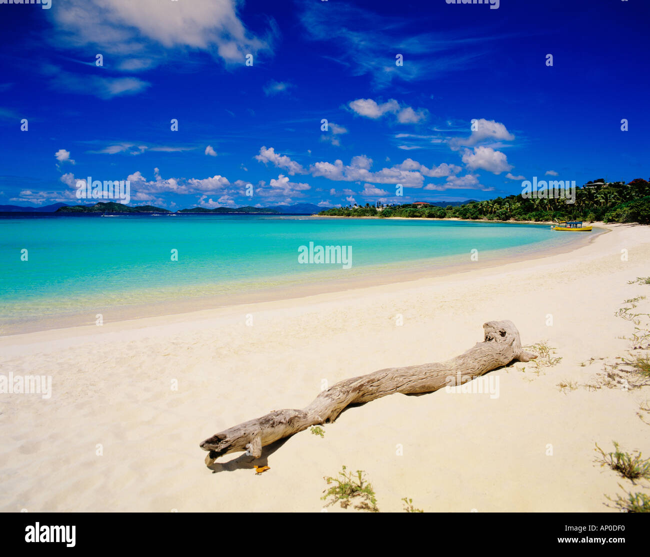 Un pezzo di Driftwood giace sulla sabbia bianca spiaggia Lindquist con acqua turchese St Thomas Isole Vergini americane Foto Stock
