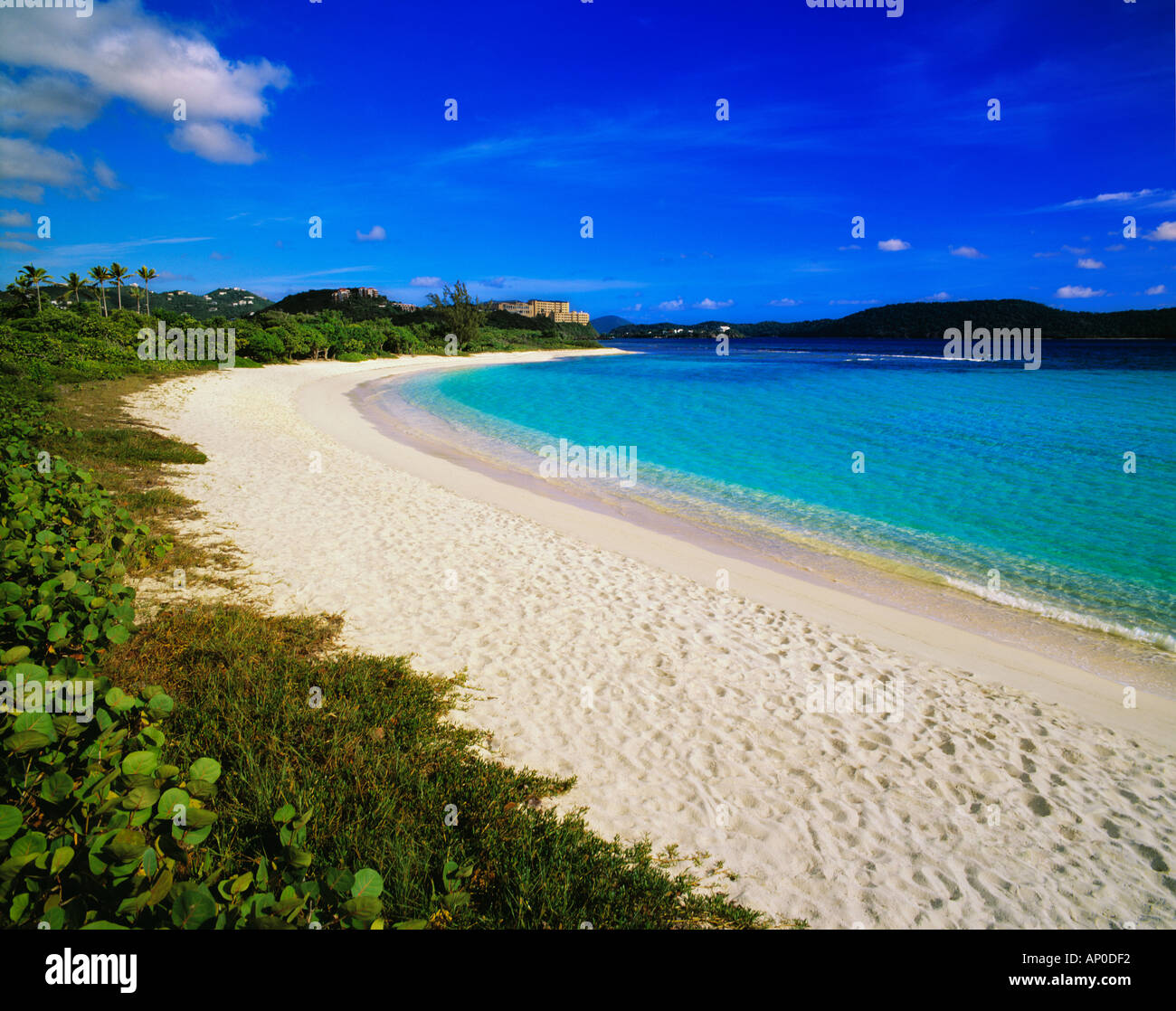 Sabbia bianca e mare turchese e verde e lussureggiante vegetazione al di sotto di un luminoso cielo blu a Lundquist Beach St Thomas Isole Vergini Americane Foto Stock