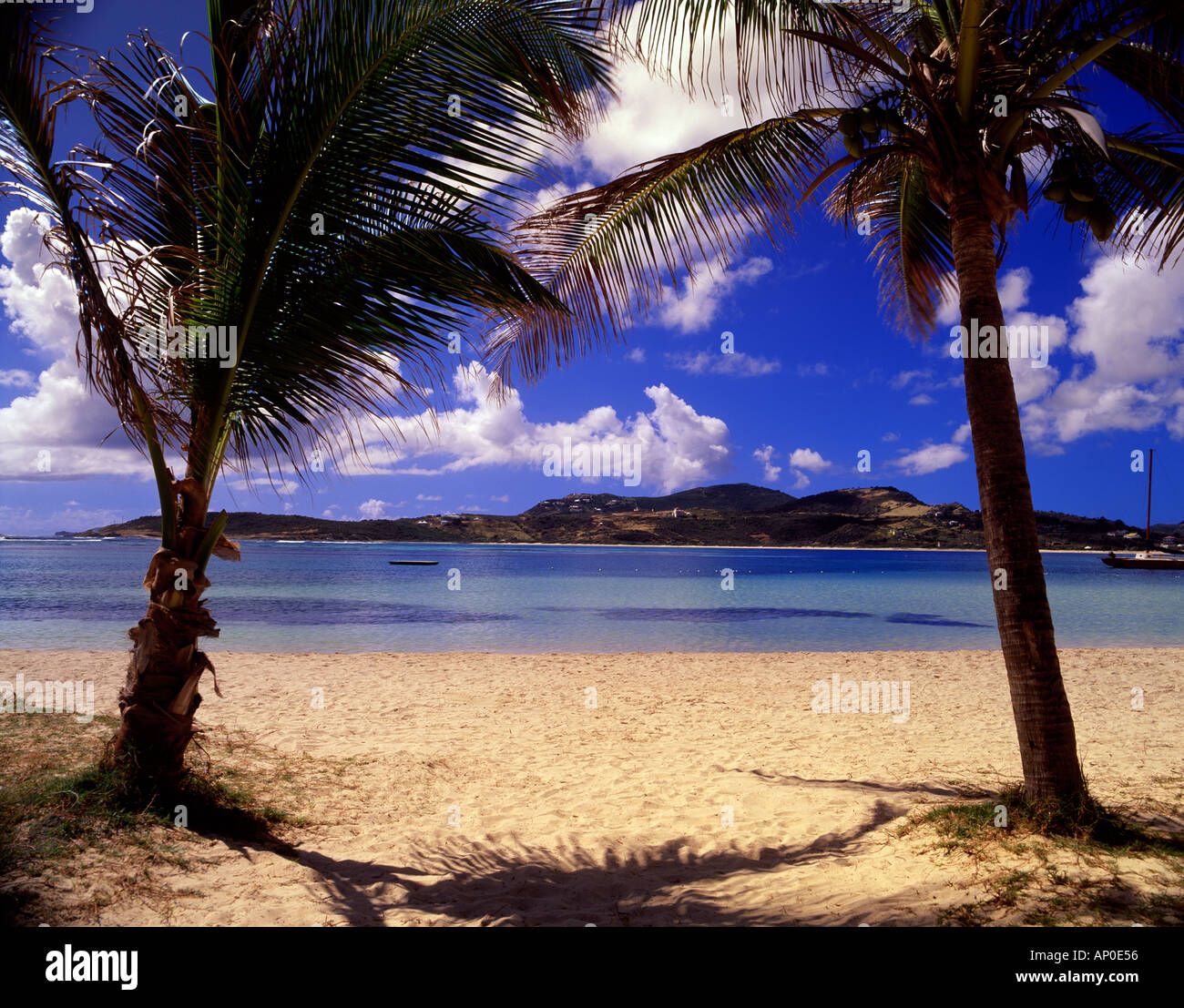 Palme ondeggiano nella brezza sulla Baie de L Embouchre beach sull'isola caraibica di St Martin Foto Stock