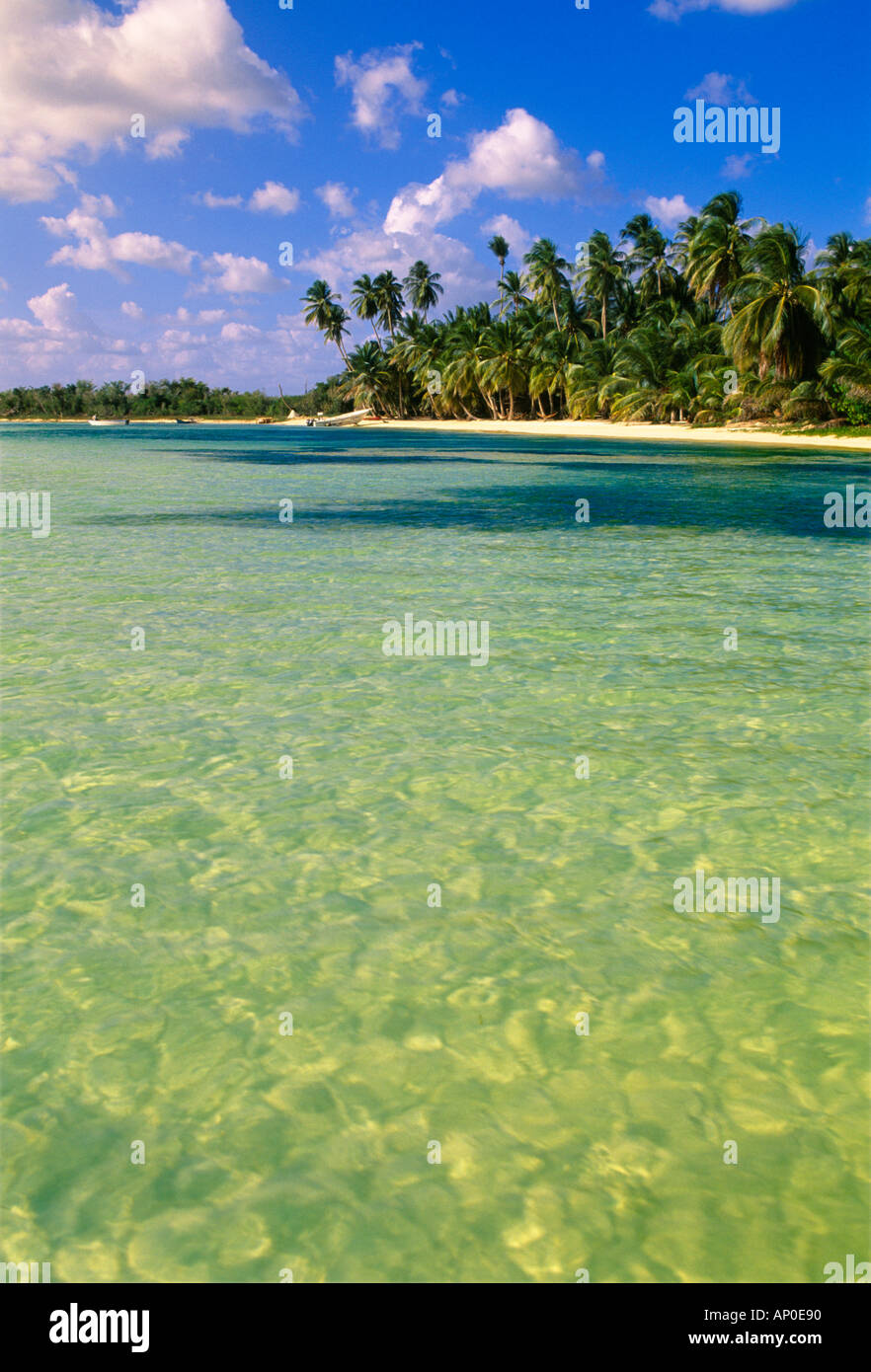 Acqua bella con una bella spiaggia di sabbia bianca e palme nella Repubblica Dominicana Foto Stock