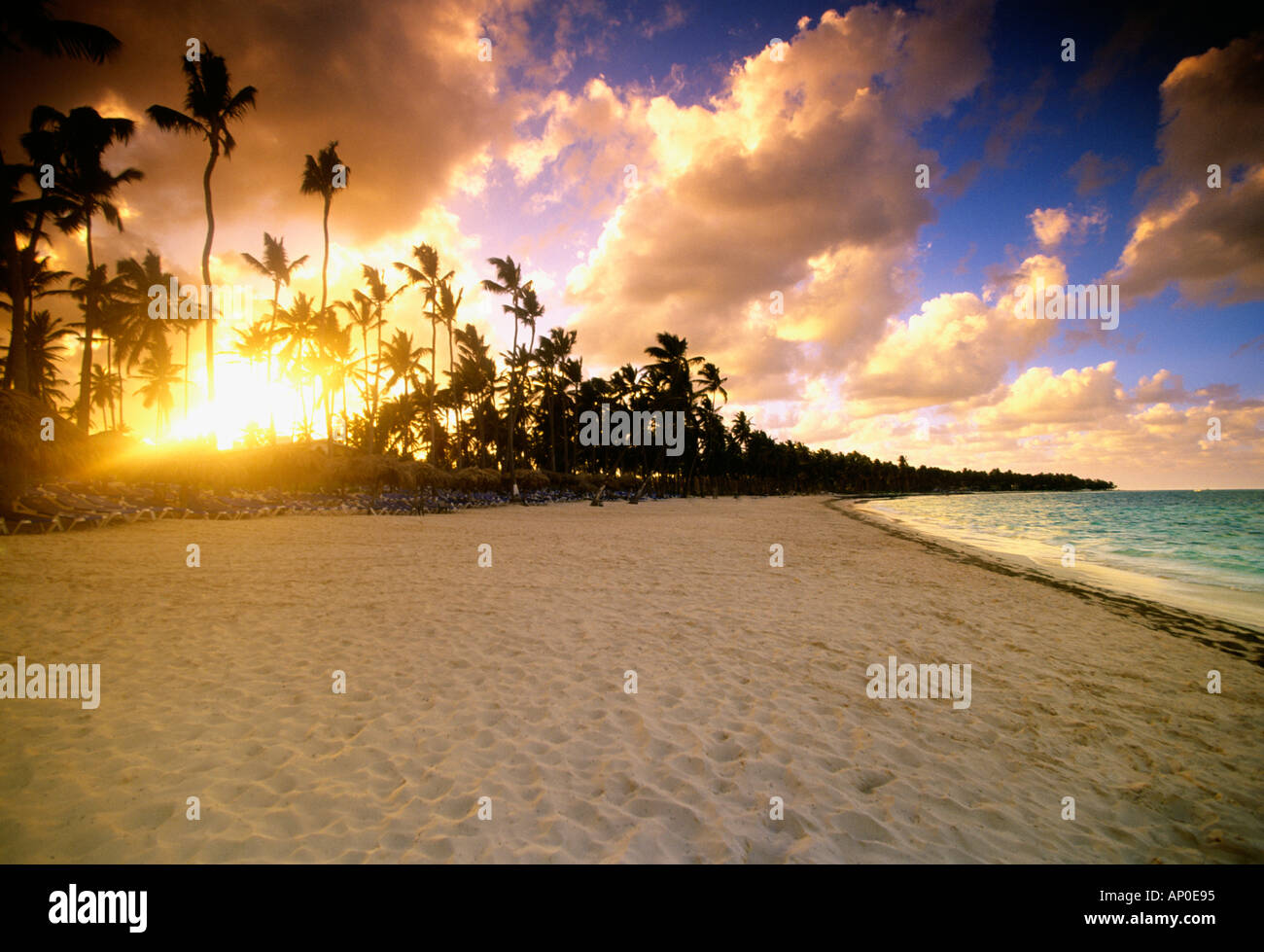 Le palme si stagliano dal sole al tramonto in un cielo colorato di una spiaggia di Punta Cana Repubblica Domincan Foto Stock