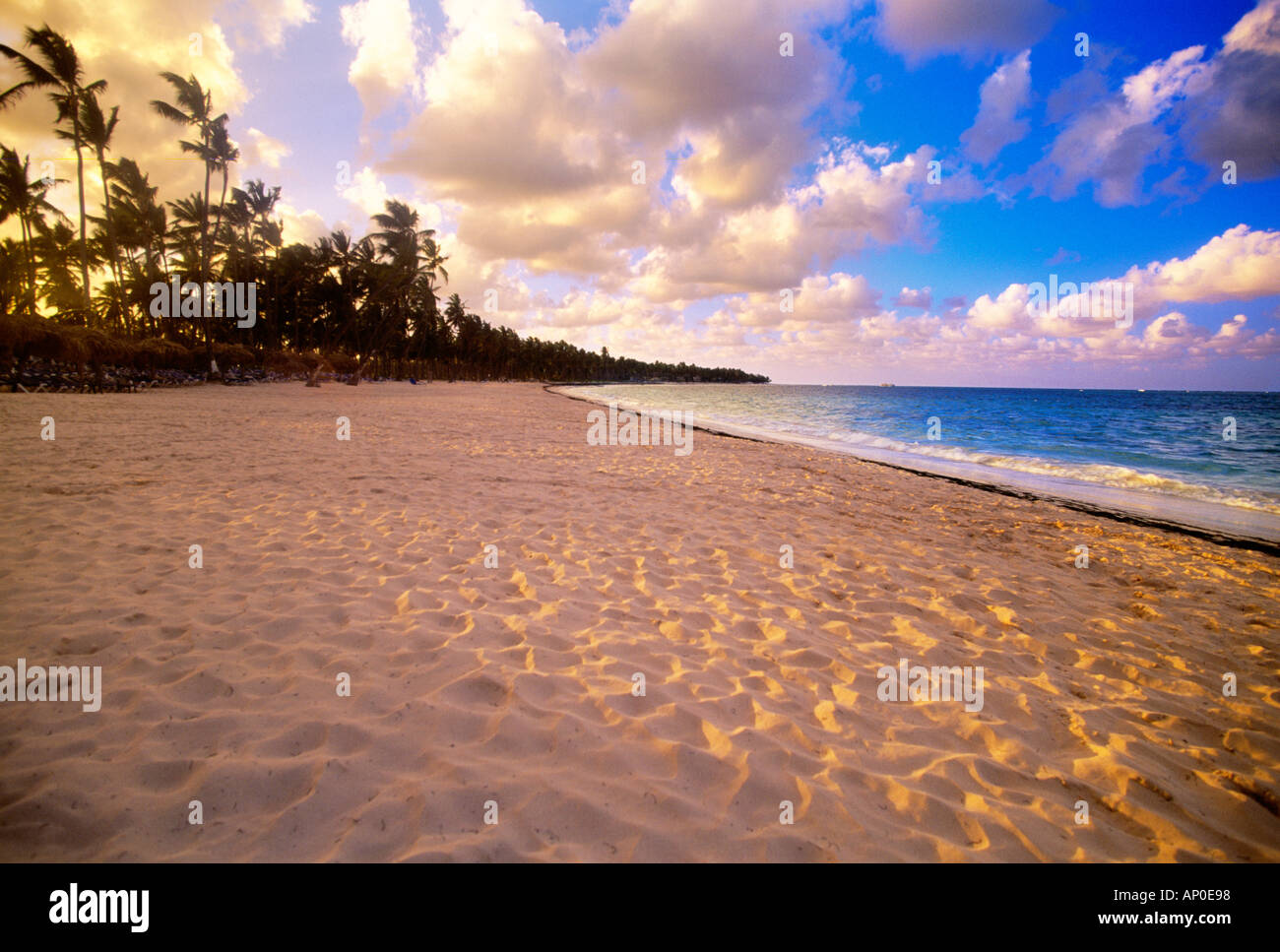 Punta Cana Repubblica Dominicana spiaggia di sabbia bianca con palme e Puffy nuvole Foto Stock
