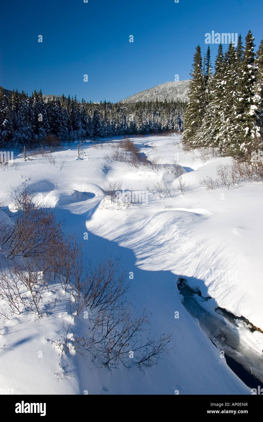 Piccolo fiume congelato in coperta di neve della foresta boreale nel parco Laurentides Québec Foto Stock