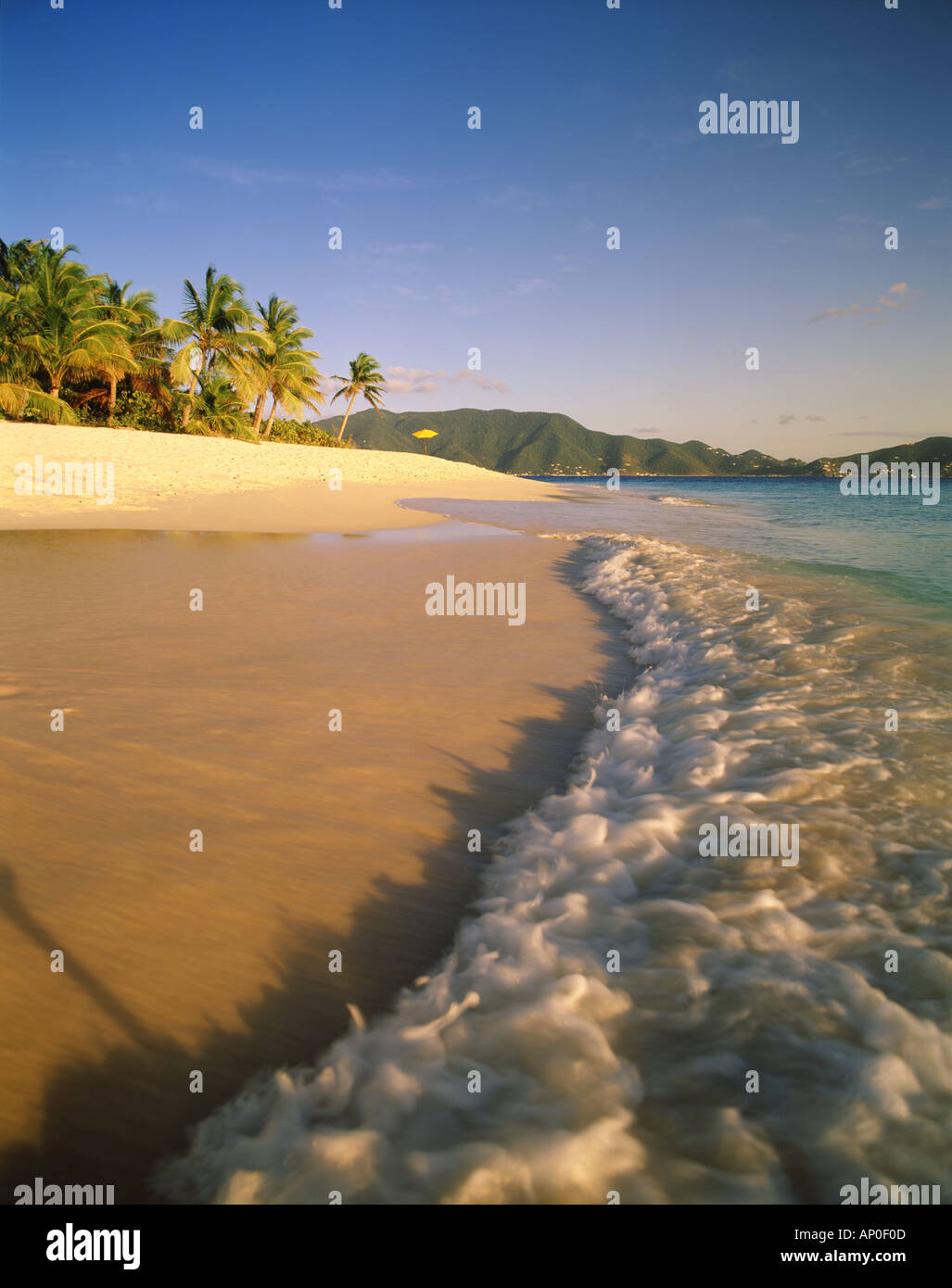 Calde acque dei Caraibi rotolare sulla riva della spiaggia di sabbia a chiave disinserita la isola di Tortola nelle isole Vergini britanniche Foto Stock