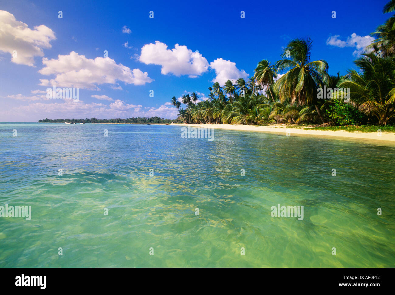 Acqua bella con una bella spiaggia di sabbia bianca e palme Punta Cana in Repubblica Dominicana Foto Stock