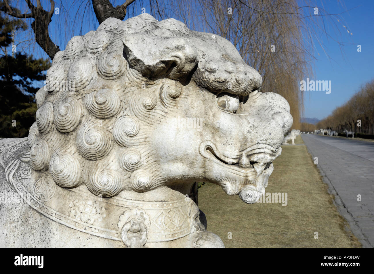 Leone di pietra sulla Via Sacra delle tombe Ming Shisanling a Pechino in Cina. 16 Jan 2008 Foto Stock