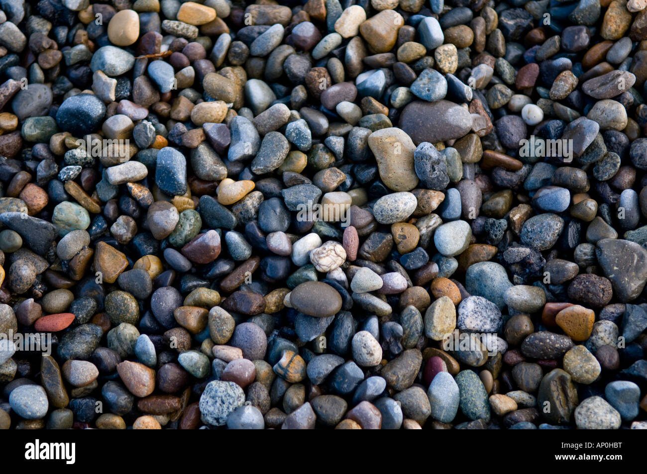 Ben ciotoli arrotondati sulla riva del Puget Sound di Tacoma, Washington, Stati Uniti Foto Stock