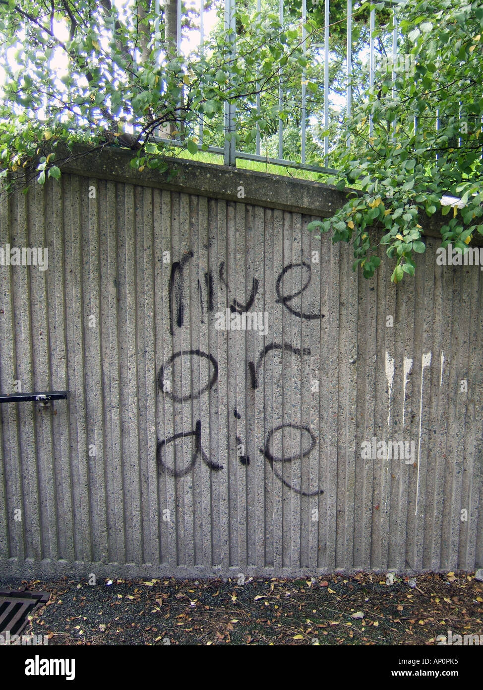 Vivere o morire frase graffiti sulla parete Foto Stock