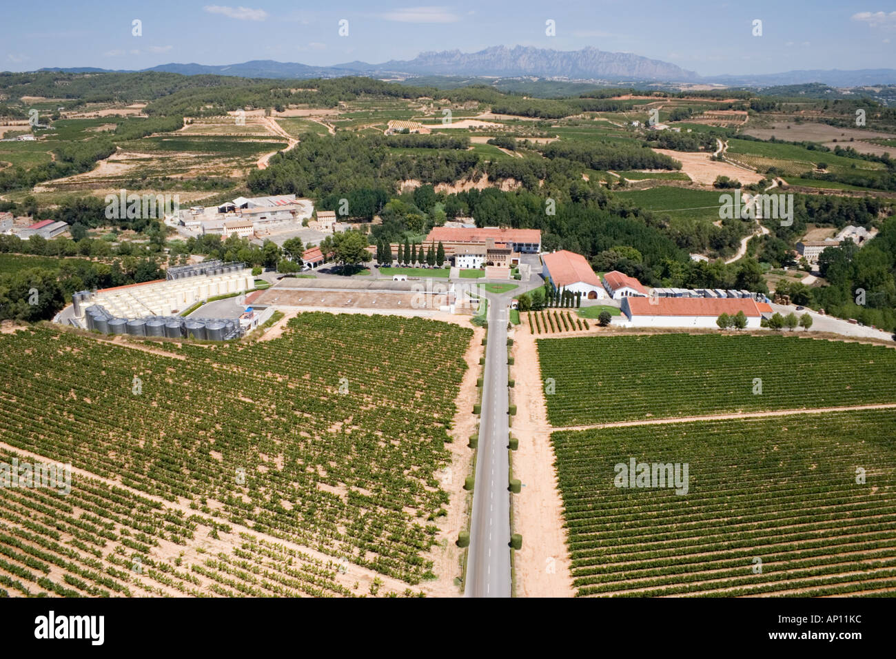 Vista aerea di una cantina e i suoi vigneti in Torrelavit, vicino a Sant Sadurni d'Anoia e Barcellona. Foto Stock