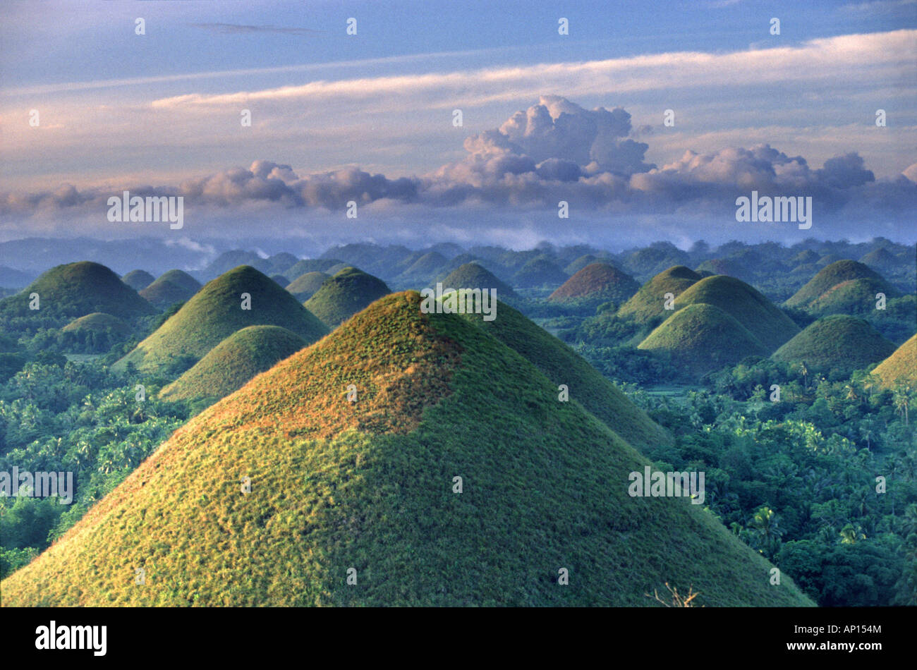 Sunrise, Chocolate Hills, meraviglia naturale, Isola di Bohol, Filippine Foto Stock