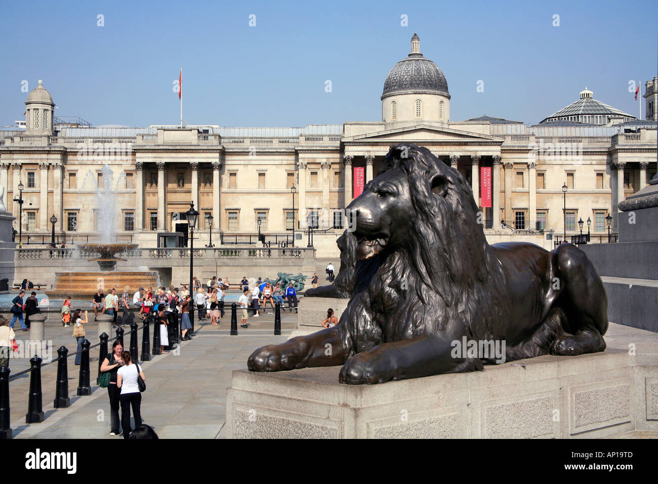 Lion e National Gallery a Trafalgar Square a Londra Foto Stock