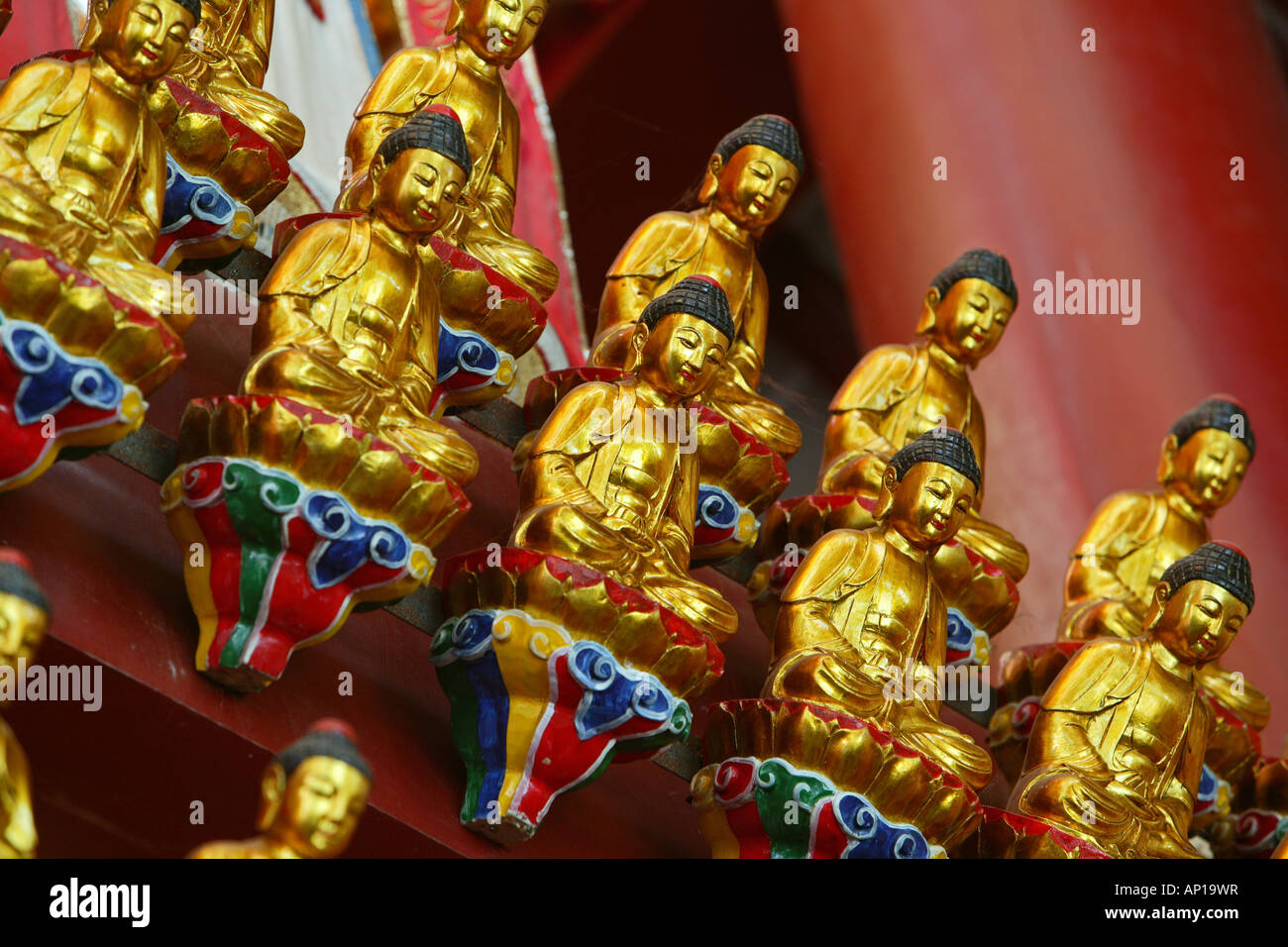 Golden Buddha, Wangfo monastero, Jiuhuashan, Monte Jiuhua, montagna di nove fiori, Jiuhua Shan, provincia di Anhui, Cina e Asia Foto Stock