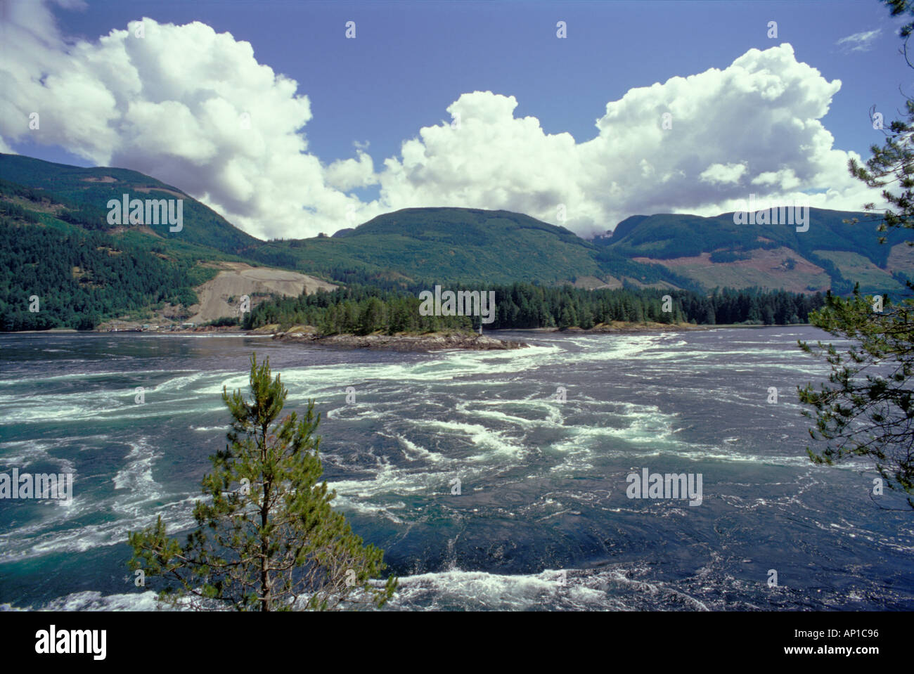 Acqua di sale di marea a rapids Skookumchuck si restringe parco provinciale Foto Stock