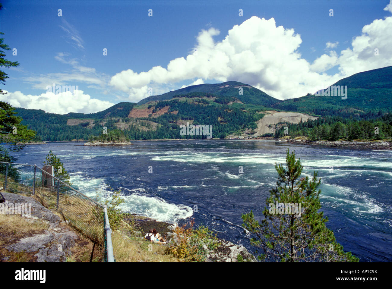 Acqua di sale di marea a rapids Skookumchuck si restringe parco provinciale Foto Stock