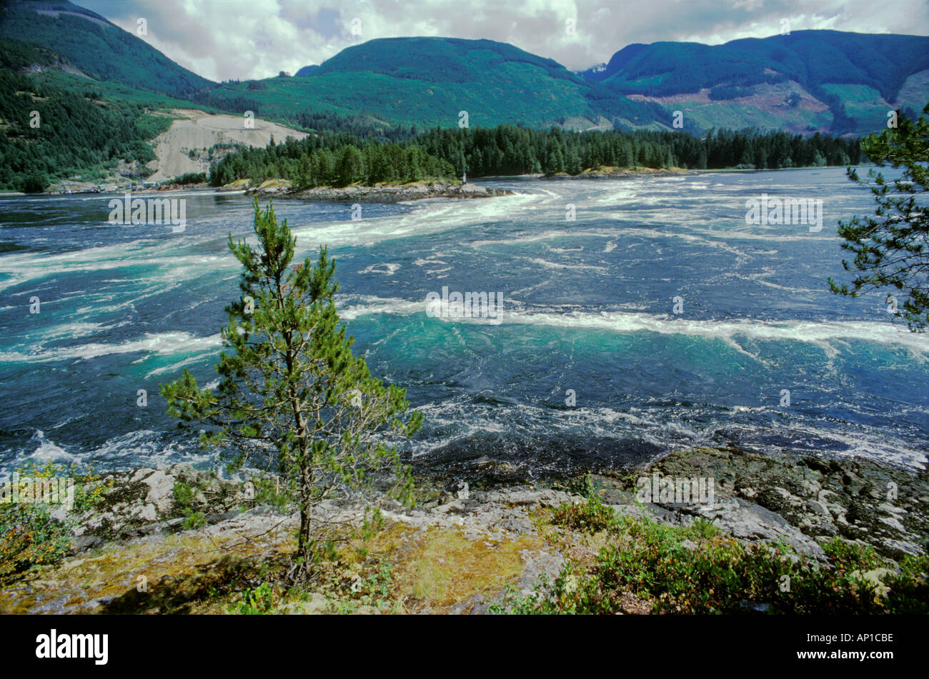 Acqua di sale di marea a rapids Skookumchuck si restringe parco provinciale Foto Stock