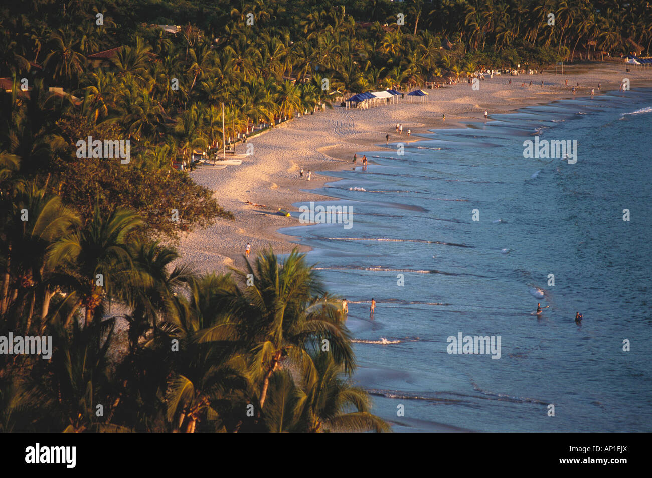Costa che mostra la spiaggia di sabbia e palme, Playa la Ropa, Zihuatanejo, Guerrero, Messico, America Foto Stock