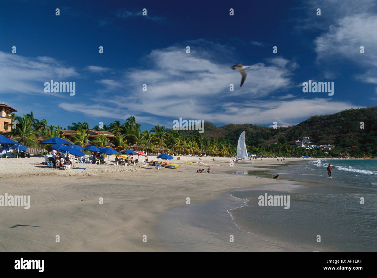 La vita sulla spiaggia a Playa la Ropa, Zihuatanejo, Guerrero, Messico, America Foto Stock