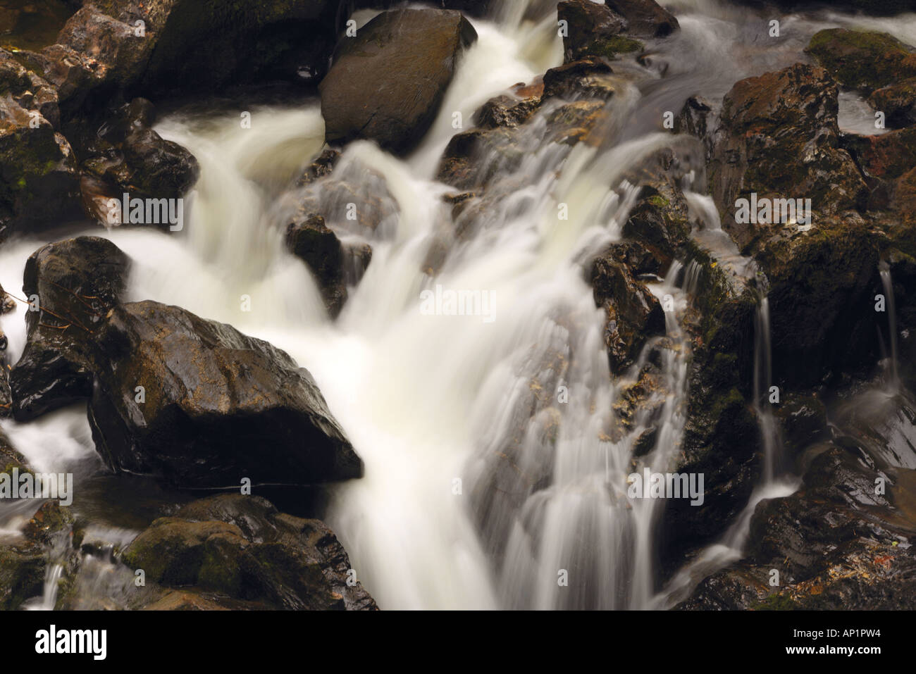 Nero Linn cade sul fiume Braan il Romitorio Dunkeld Perthshire Scozia UK Foto Stock