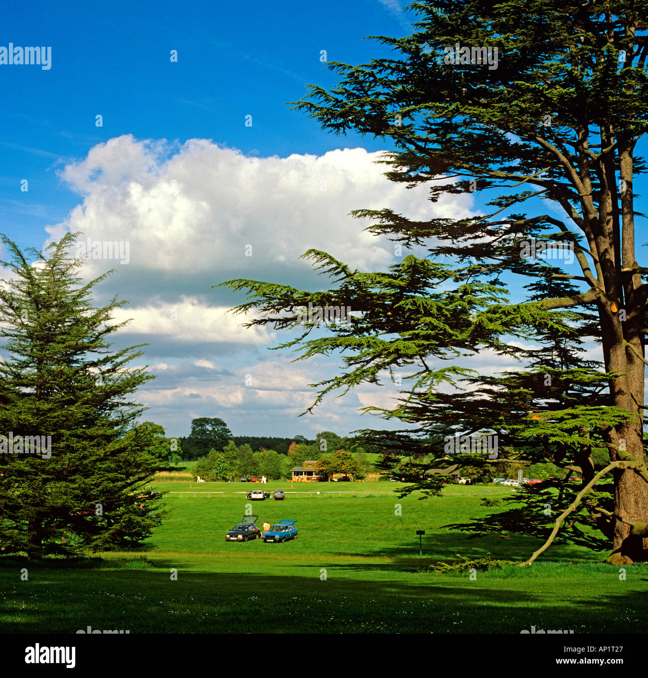 Cheshire Cholmondeley sport village cricket su Cholmondeley Castle massa Foto Stock