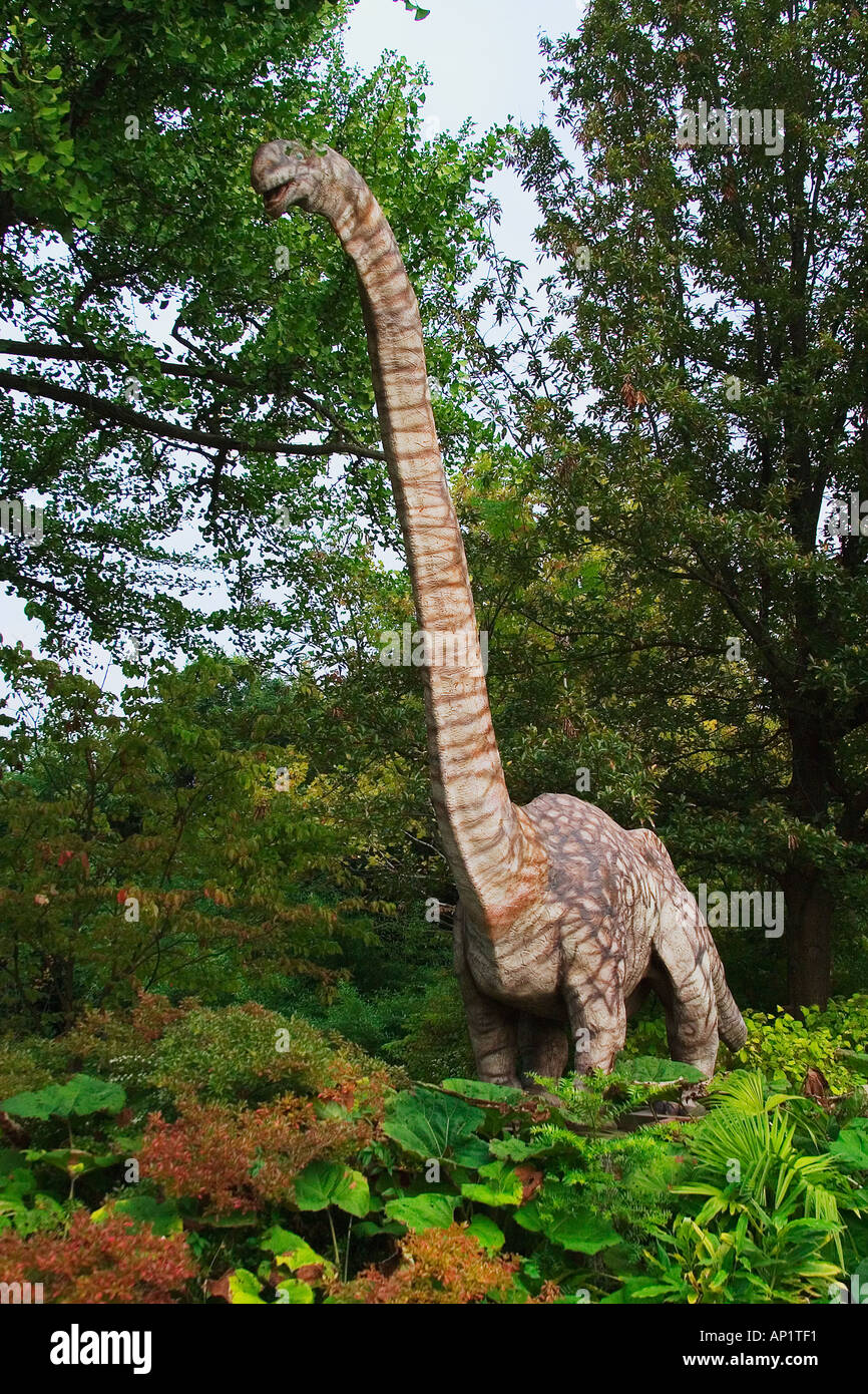 Omeisaurus vissuto nel tardo Giurassico all inizio del periodo Cretaceo Foto Stock