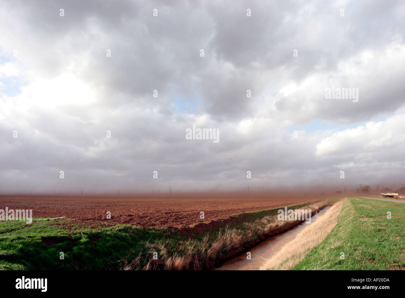 Tempesta di polvere Fenland Foto Stock