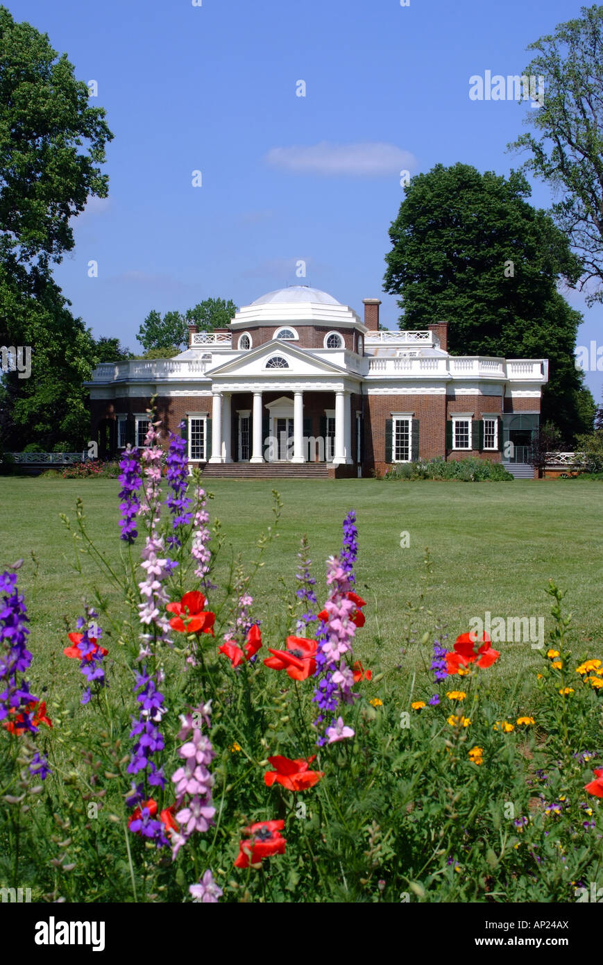 Papaveri e Delphiniums adornano il giardino a piedi presso la casa di Thomas Jefferson Monticello Virginia STATI UNITI D'AMERICA Foto Stock