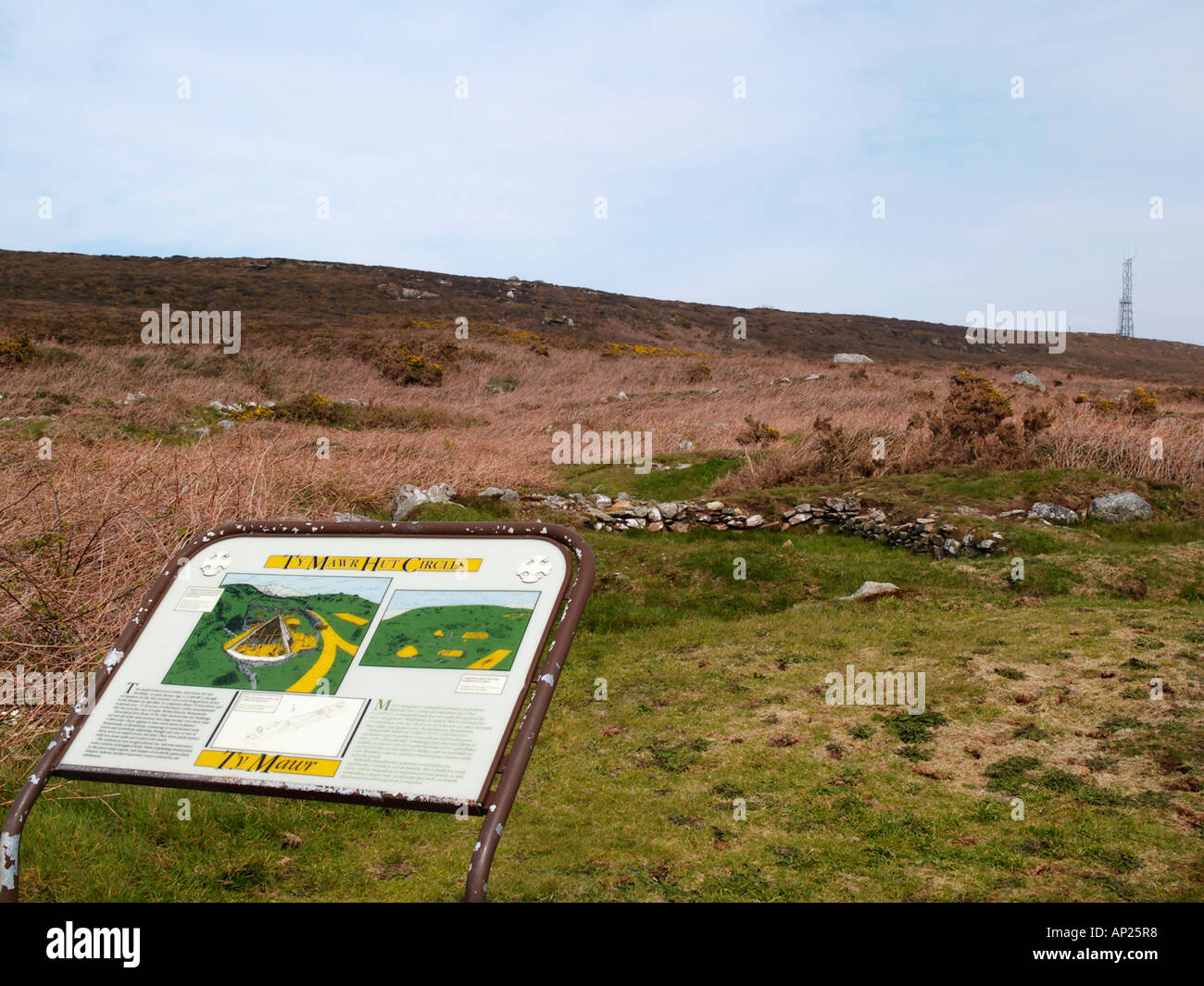 Sud pila Anglesey North Wales TY MAWR HUT cerchi informazioni segno da resti di 'Iron Age' hut cerchi Foto Stock
