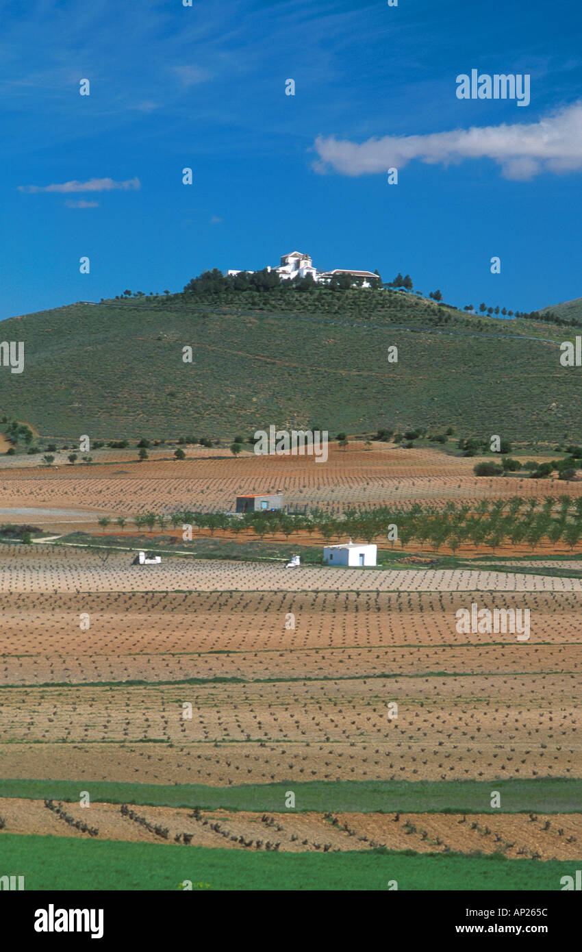 Terreno agricolo a sud di Toledo Spagna mostra le uve di frumento e di un casale in collina Foto Stock