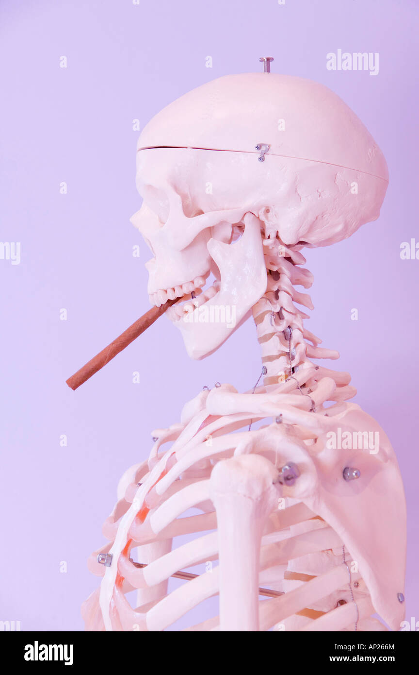 Uno scheletro umano di fumare un sigaro Foto Stock